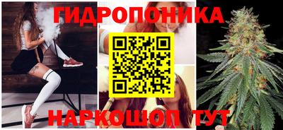 СК Обь