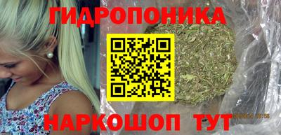 СК Обь